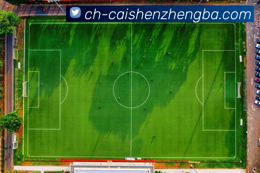 彩神争霸服务体系